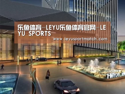案例展示二