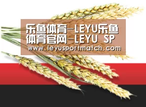 乐鱼体育-LEYU乐鱼体育官网-LEYU SPORTS