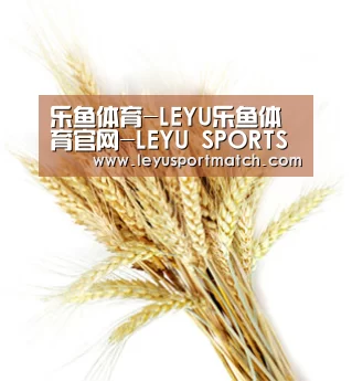 乐鱼体育-LEYU乐鱼体育官网-LEYU SPORTS