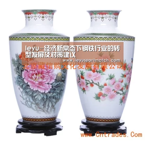 leyu-经济新常态下钢铁行业的转型发展及对策建议(图1) 开云乐鱼